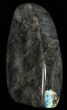 Tall, Flashy Polished Free Form Labradorite #56090-2
